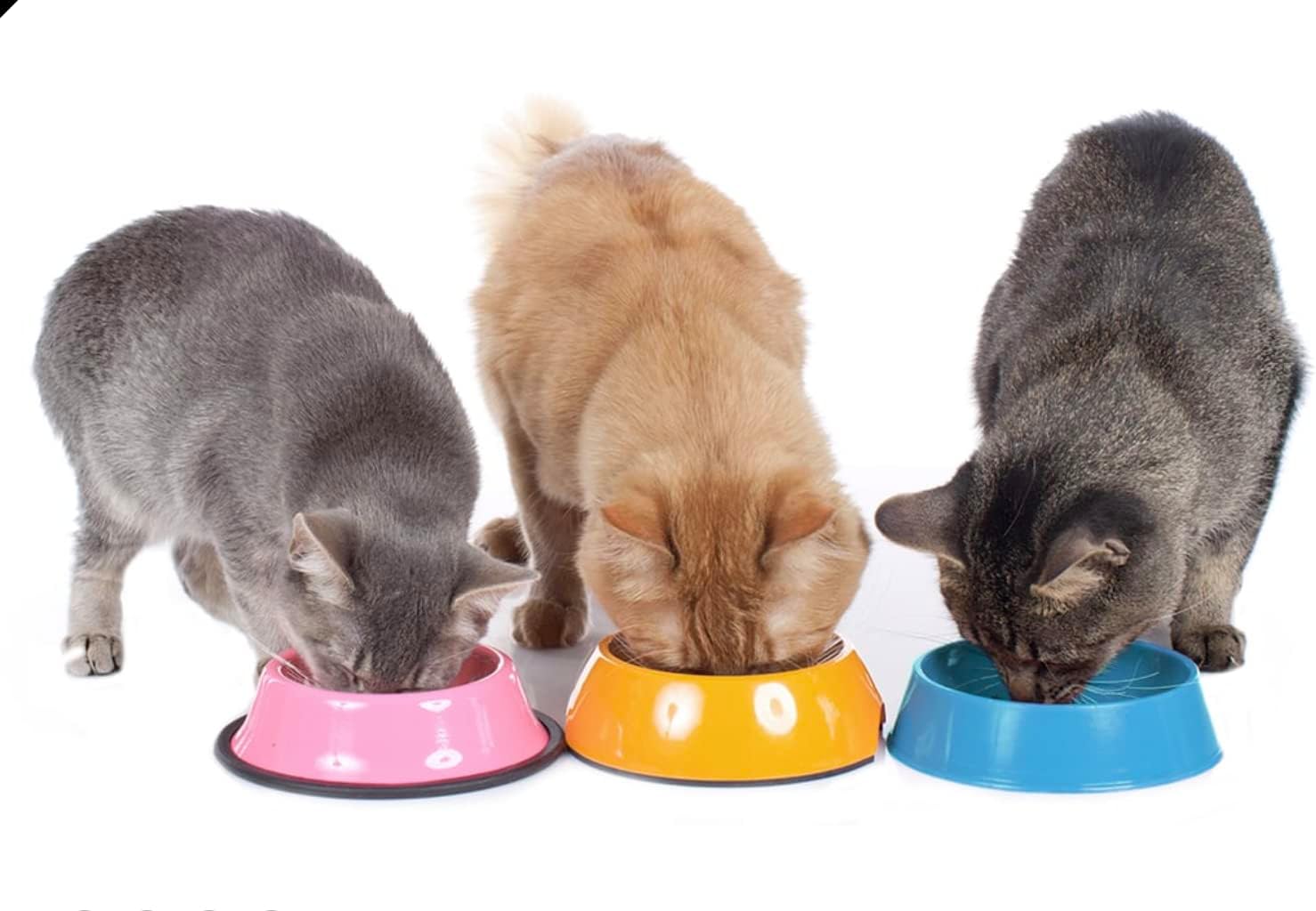 Friskies Lil’ Grillers – Paquete variado de pollo, atún chamuscado, pescado marino chamuscado, pavo chamuscado en salsa3 bolsas de cada sabor, 12