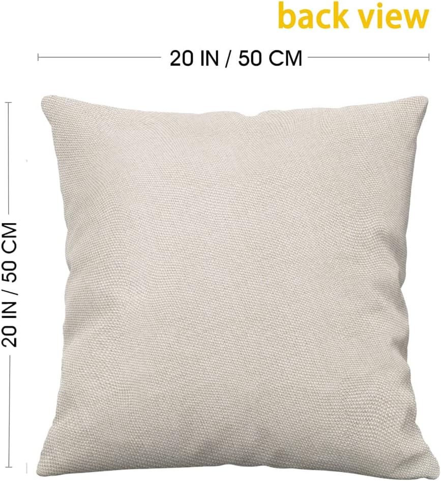 Juego de 4 fundas de almohada de Halloween de 20 x 20 pulgadas, juego de 4 fundas de almohada de truco o trato, negro, blanco, fantasma, bruja,