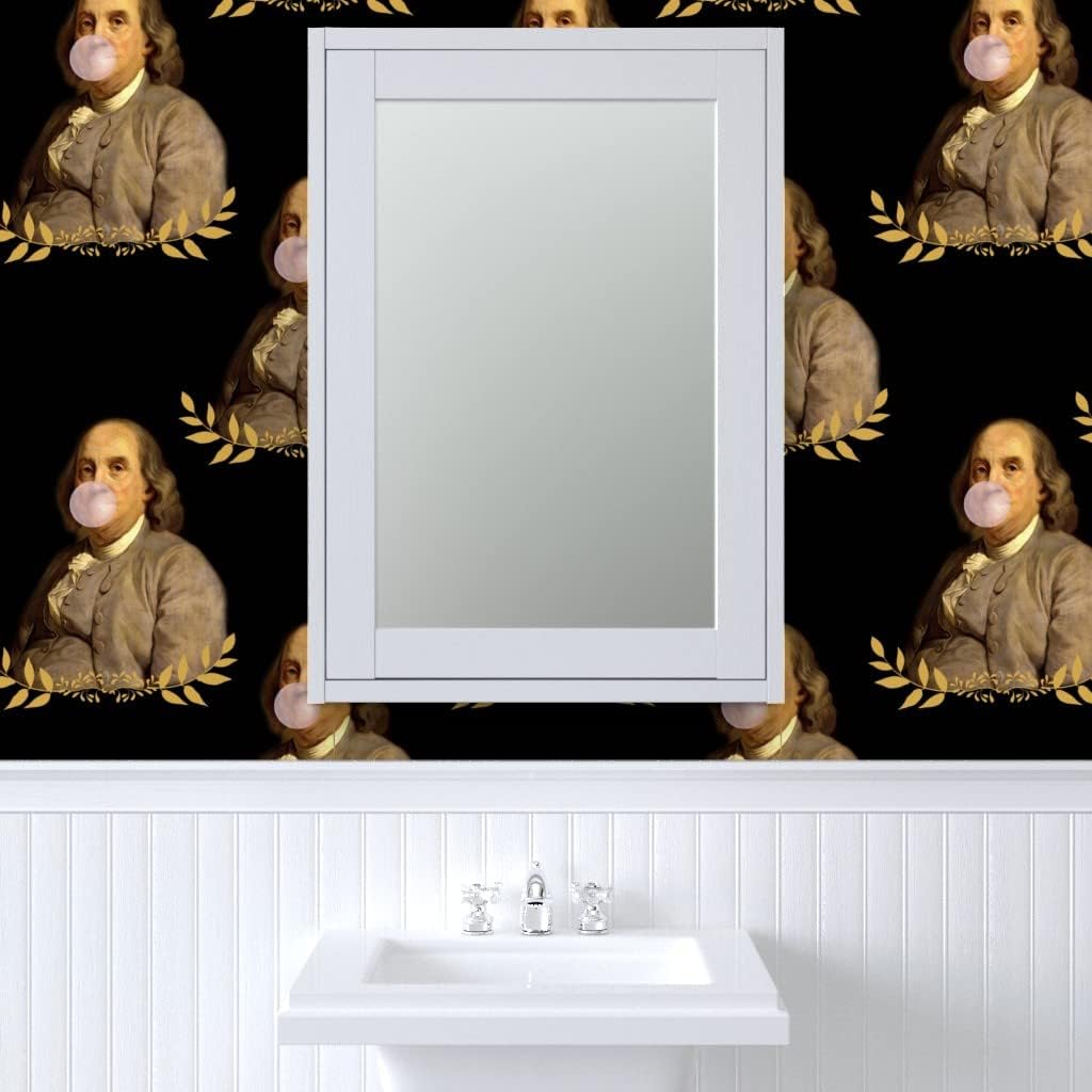 Spoonflower Papel tapiz autoadhesivo de 6 x 2 pies  Benjamin Franklin President Historical Whimsical Bubblegum papel tapiz extraíble personalizado