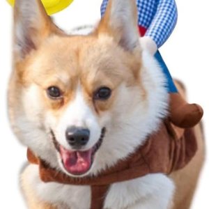 iSmarten Disfraz de vaquero para perro, disfraz de caballero estilo muñeca, sombrero de Halloween, disfraz de mascota (XL) iSmarten Disfraz de vaquero para perro, disfraz de caballero estilo muñeca, sombrero de Halloween, disfraz de mascota (XL)