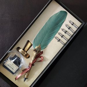 Zerone Juego de plumas retro, pluma estilográfica clásica europea, pluma de pavo real antiguo, pluma de metal con punta de pluma de escritura, caja Zerone Juego de plumas retro, pluma estilográfica clásica europea, pluma de pavo real antiguo, pluma de metal con punta de pluma de escritura, caja