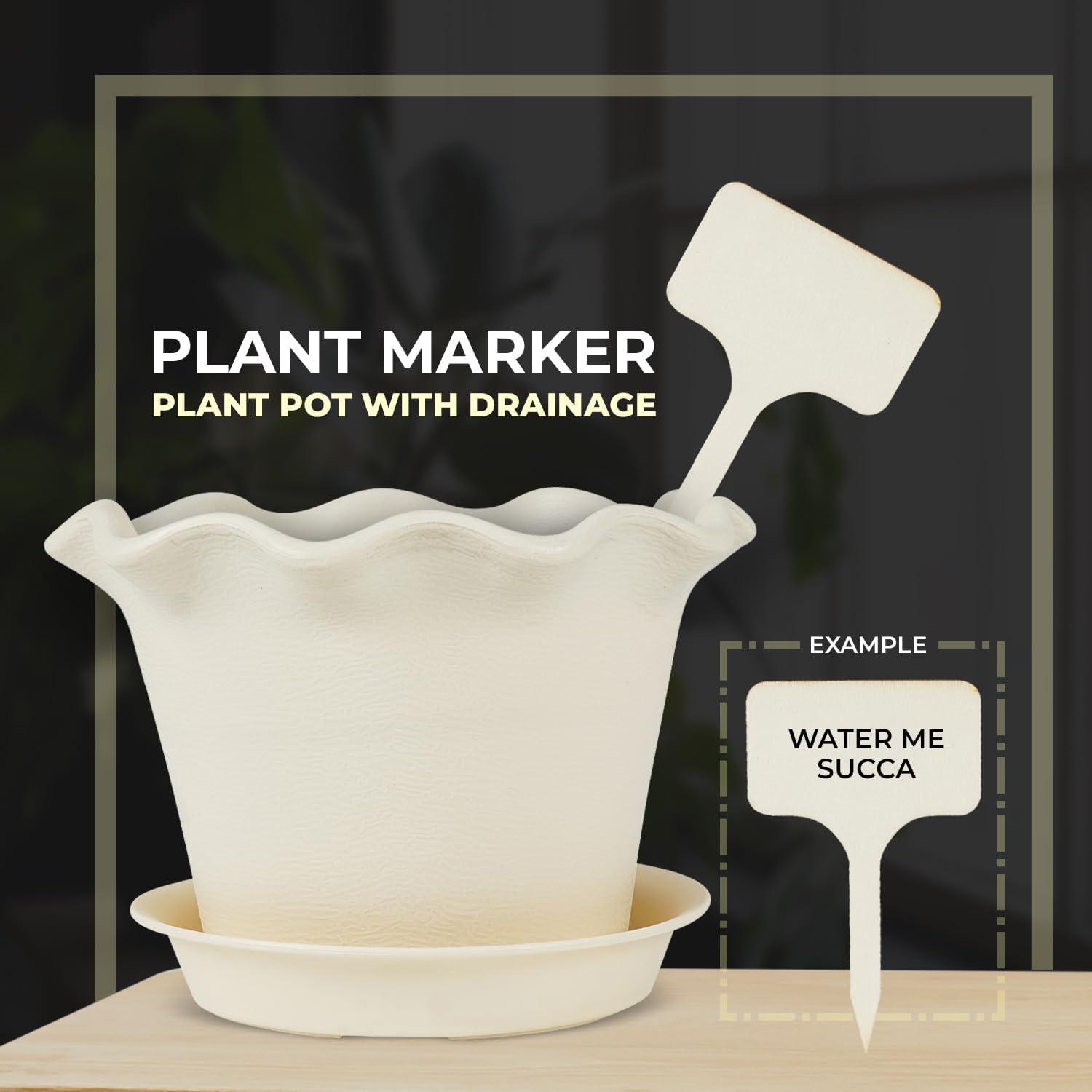 Maceta  Macetas  Macetas bonitas  Macetas únicas  Divertidas macetas para plantas de interior  Macetas suculentas  Maceta para suculentas  Maceta