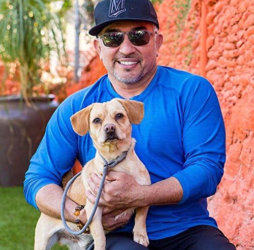 Cesar Millan Correa deslizante para perro, correa de entrenamiento (regular, gris)