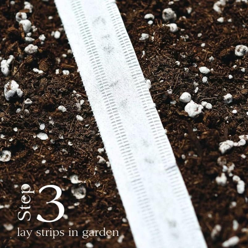 Park Seed Cinta de semillas de lechuga Buttercrunch, filas ordenadas y rectas de lechuga al instante, 15 pies de cinta