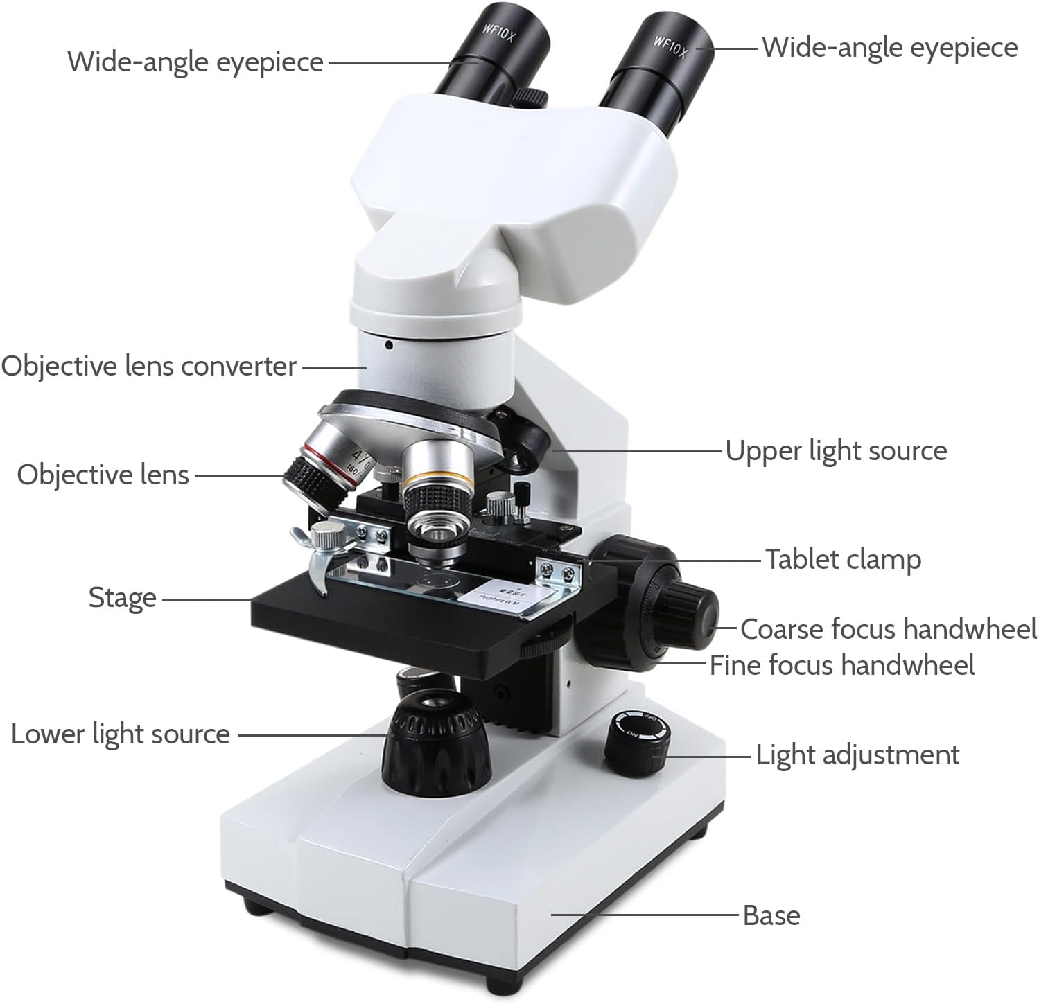 Crspexil Microscopios binoculares compuestos 40X-2000X con cámara de 2.0 mp, con diapositivas preparadas para microscopio 30p, para niños
