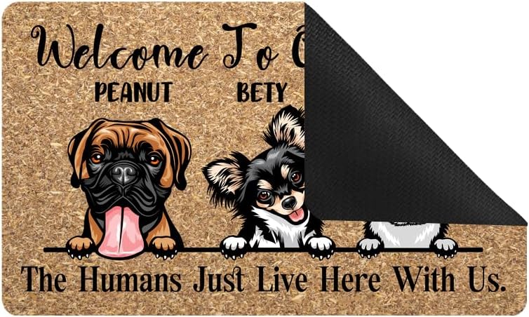 Tapete para puerta de 30 x 18 pulgadas, con nombre del perro, bienvenido a nuestro hogar, tapete personalizado personalizado de bajo perfil para