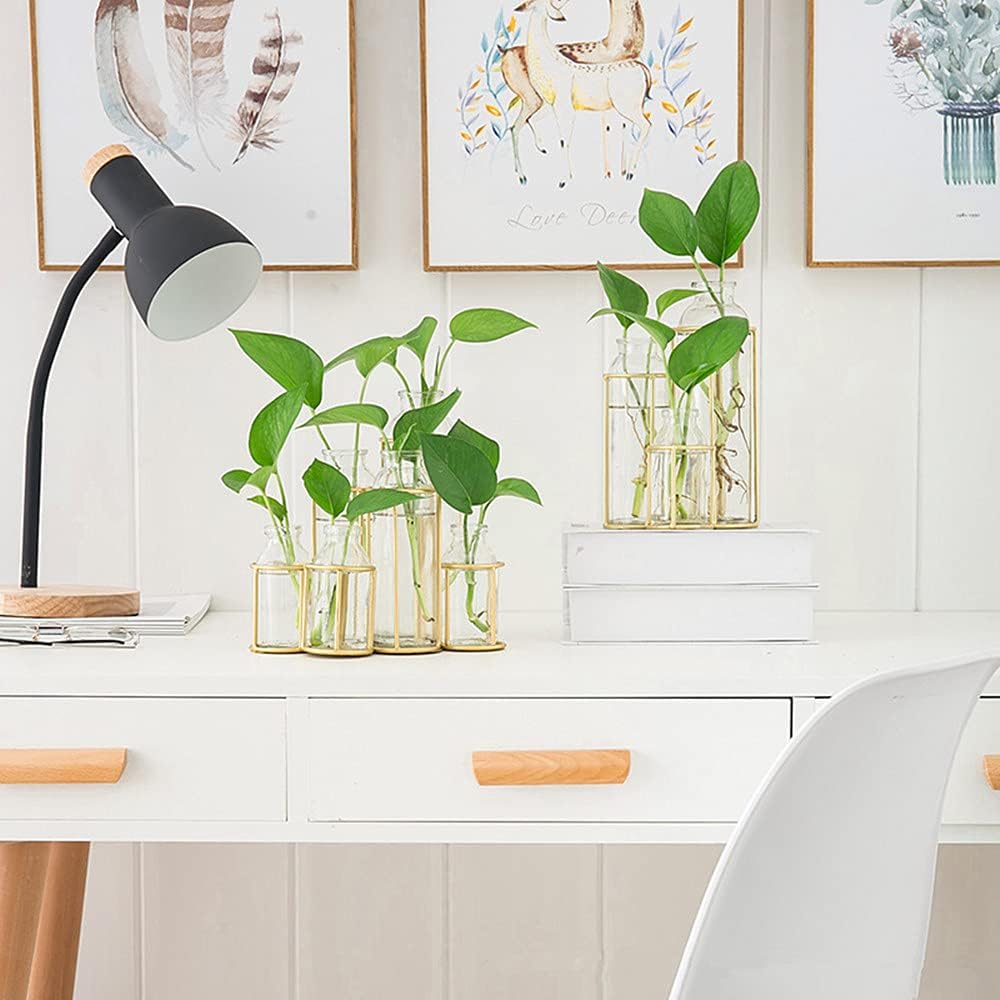 Radefasun Jarrones de flores con 6 botellas de cristal transparente con soporte de metal, estación de propagación de plantas, juego de soporte para