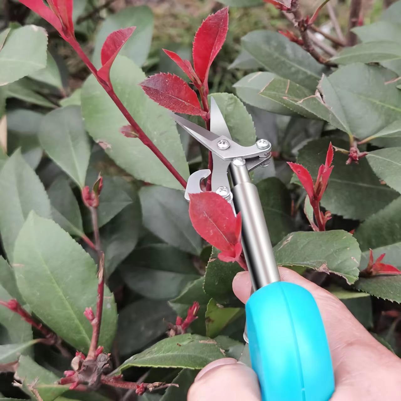 Tijeras de podar de jardín profesionales Tijeras de podar manuales de jardinería (azul)
