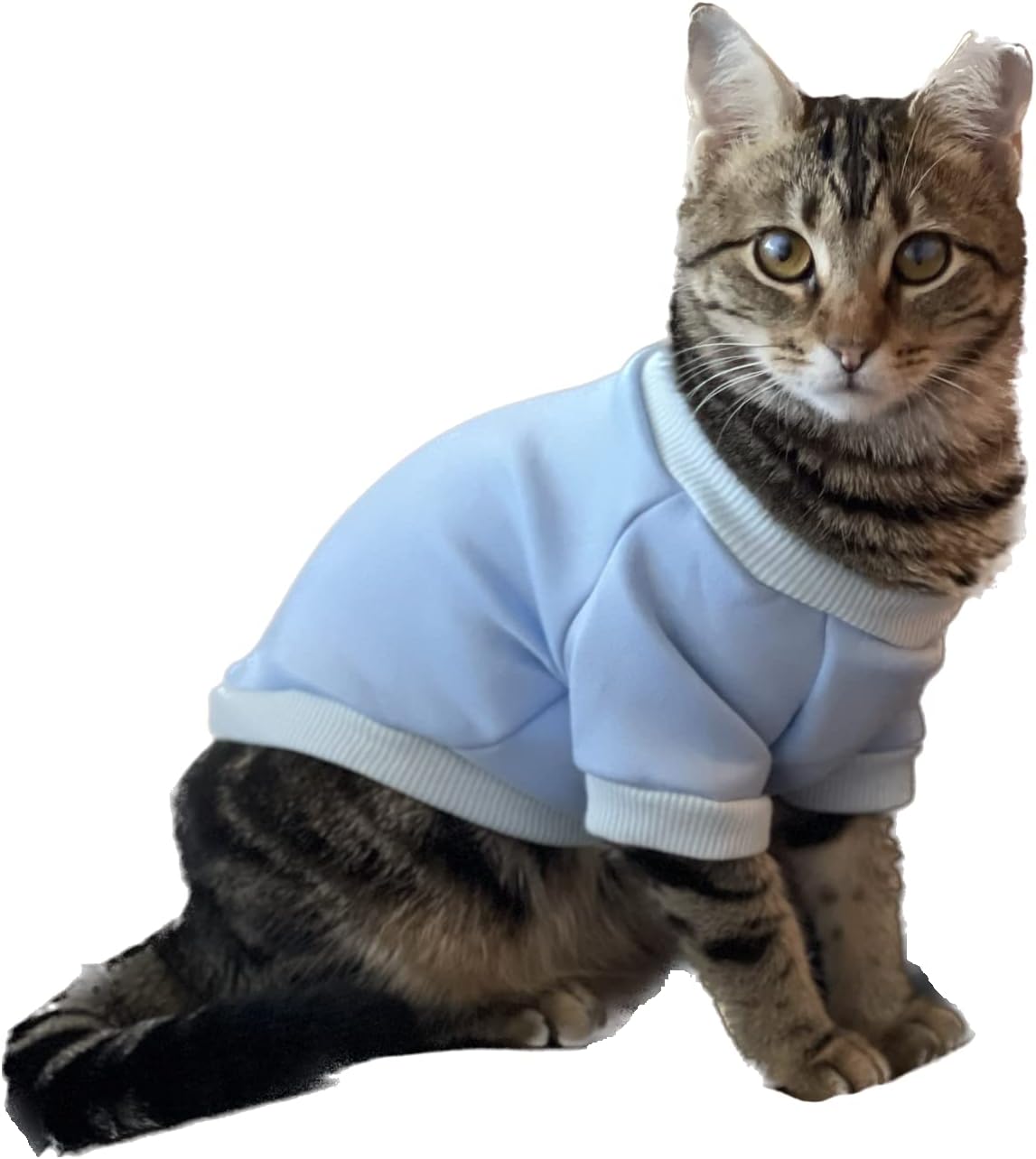 Suéter de mono para gatos, gatitos, gatos sin pelo, perros pequeños, cachorros, ropa de gato para gatos de interior, ropa de gato, accesorios lindos