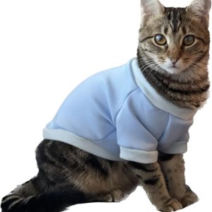 Suéter de mono para gatos, gatitos, gatos sin pelo, perros pequeños, cachorros, ropa de gato para gatos de interior, ropa de gato, accesorios lindos Suéter de mono para gatos, gatitos, gatos sin pelo, perros pequeños, cachorros, ropa de gato para gatos de interior, ropa de gato, accesorios lindos
