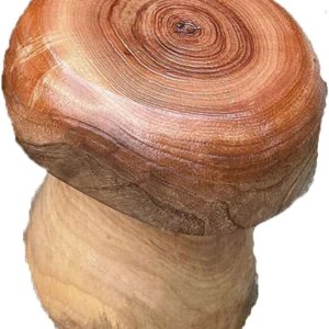 Taburete de tocón de árbol de forma natural de 10 x 10 x 15 pulgadas de alto, mesa de planta de tocón lateral con extremo de hongo, acabado de Taburete de tocón de árbol de forma natural de 10 x 10 x 15 pulgadas de alto, mesa de planta de tocón lateral con extremo de hongo, acabado de
