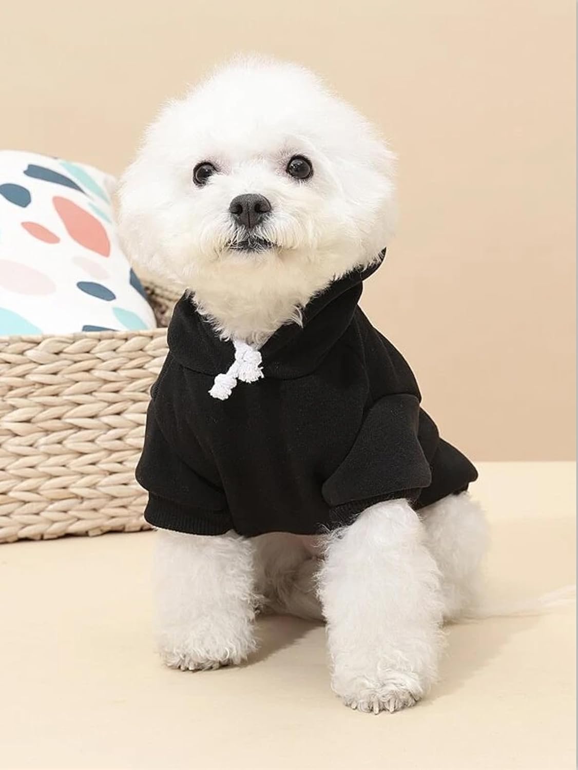 QWINEE Sudadera básica con capucha para perro, chaqueta cálida para perro, ropa para gato, camisa para perro, ropa para cachorros, gatitos pequeños