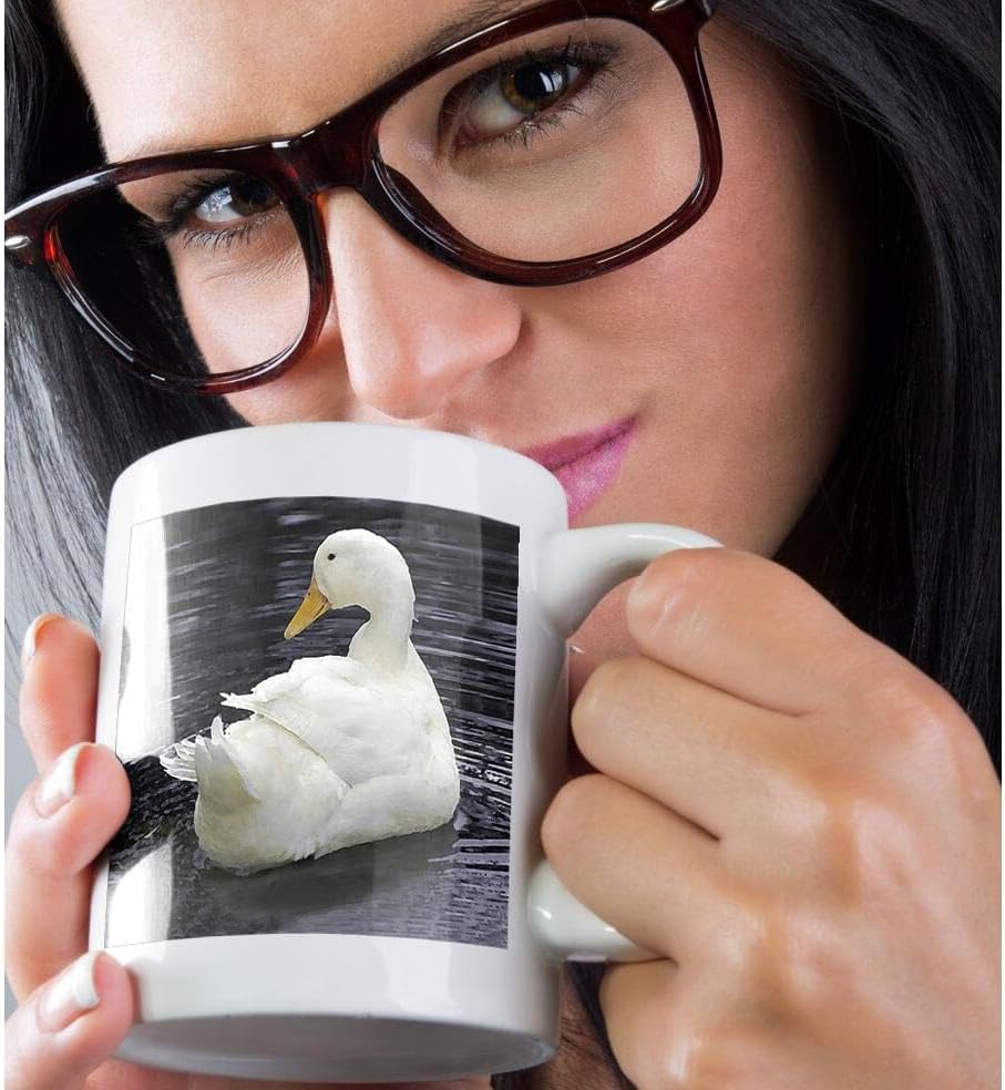 3dRose mug_4232_1 – Taza de cerámica de pato Pekin blanco, 11 onzas