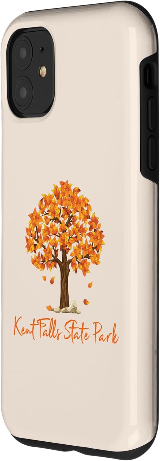Funda de color para iPhone 11 Kent Falls State Park Autumn Follage Fall Leaf Peeping