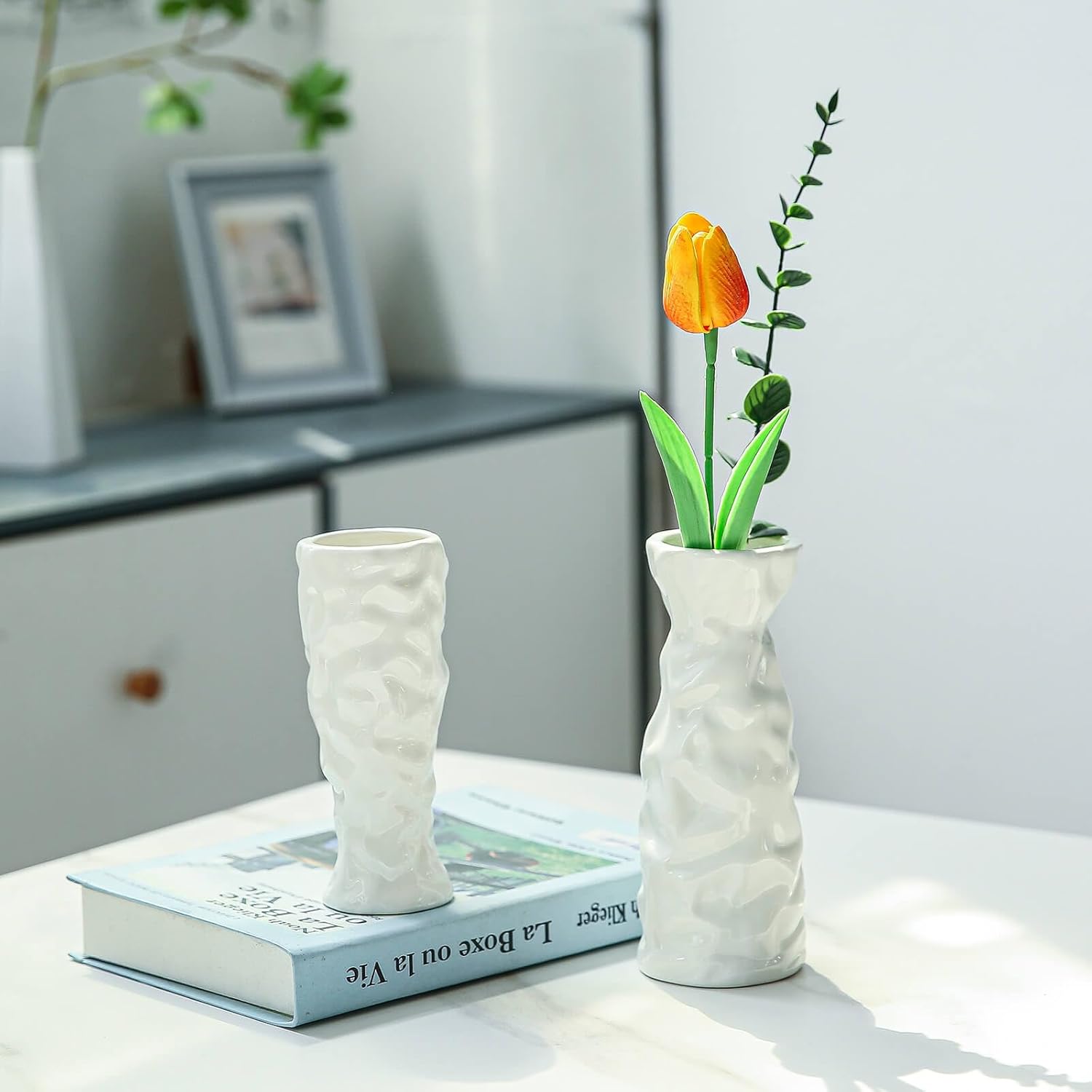 Florero de cerámica blanca  Juego de 2 jarrones de papel  Jarrones decorativos bohemios modernos para flores y hierba de pampas  Sala de estar,