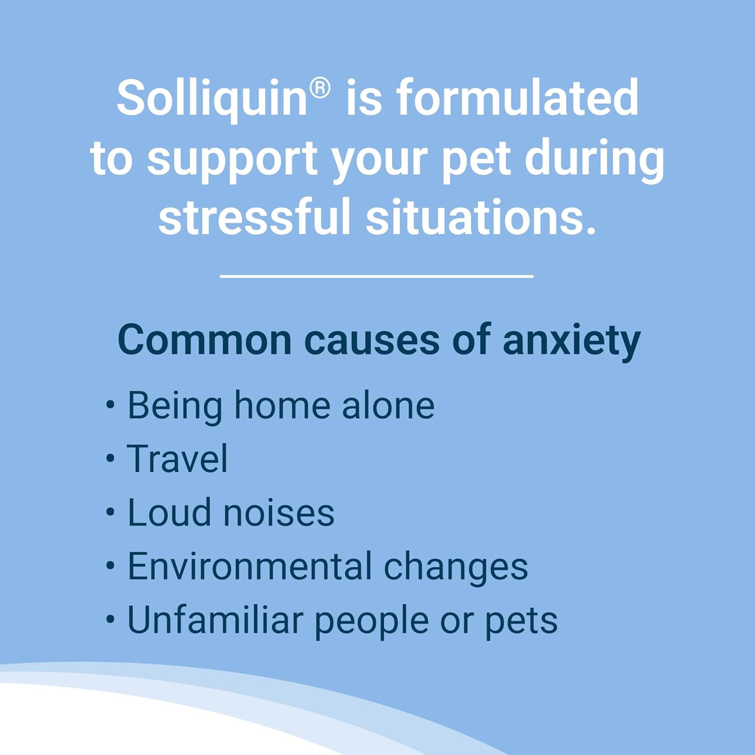 Nutramax Solliquin – Suplemento calmante para la salud conductual para perros grandes, con L-teanina, magnoliafelodendro y concentrado de proteína