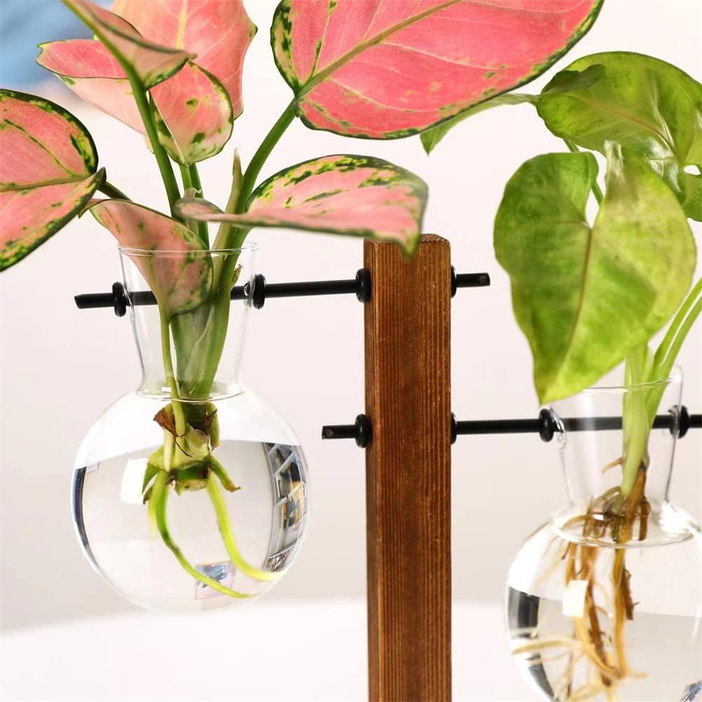 Jarrón de cristal para plantas hidropónicas, kit de terrario de plantas de escritorio con soporte retro de madera maciza para plantas hidropónicas,