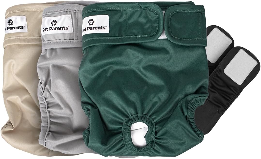Pet Parents Pañales y extensores lavables de alta calidad, (3 unidades) de pañales para perros hembras y machos, pañales para perritos Color abeto,