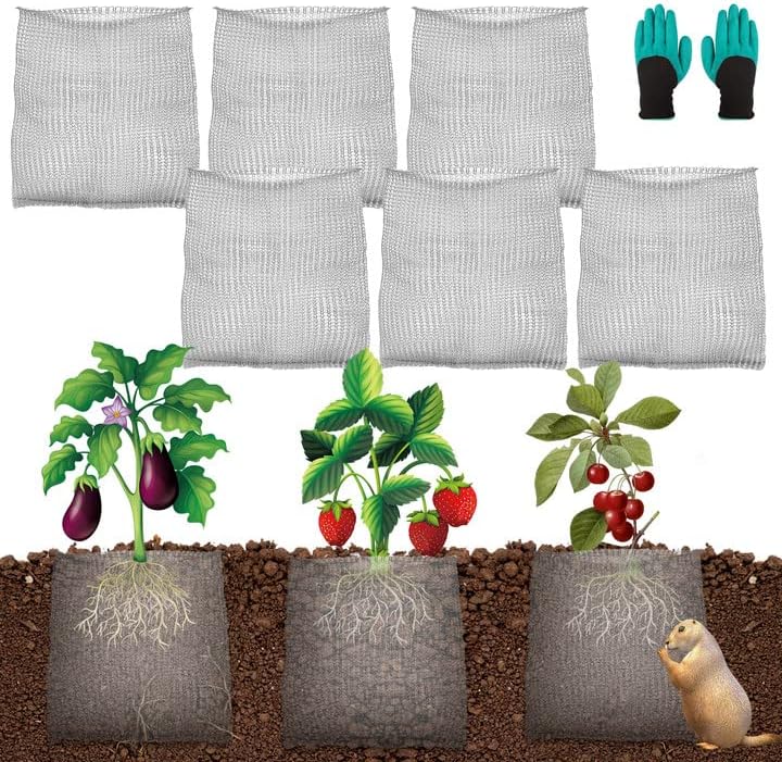 6 cestas de protección de raíces, cestas de velocidad de alambre Gopher, cestas de acero inoxidable para topos y campañoles para protección de