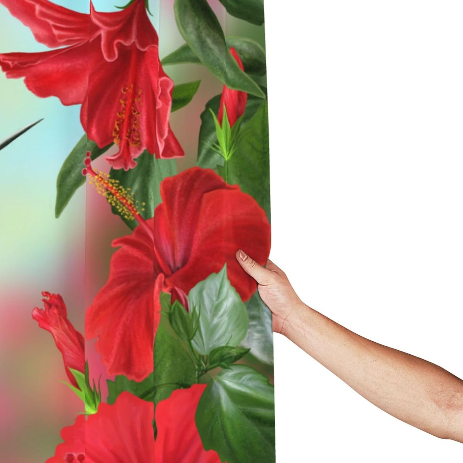 Hummingbird – Cortina de ducha de plástico de 72 x 72 pulgadas, cortinas de ducha extra largas para baño, juego de cortinas de baño con ganchos,