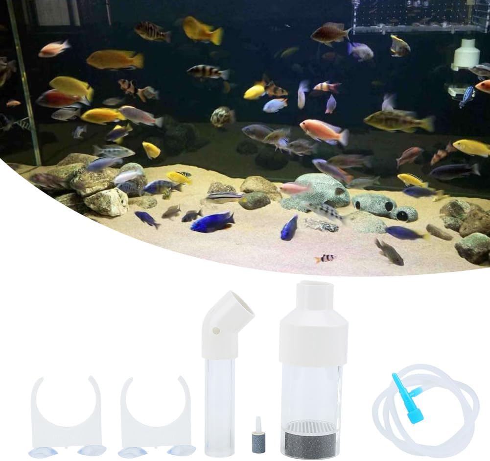 AQ50025 Acrílico 9.8 in x 1.969 in Corto Acuario Cíclidos Vaso Incubadora Peces Incubadora Huevos En lugar de la boca BroodingSuministros de