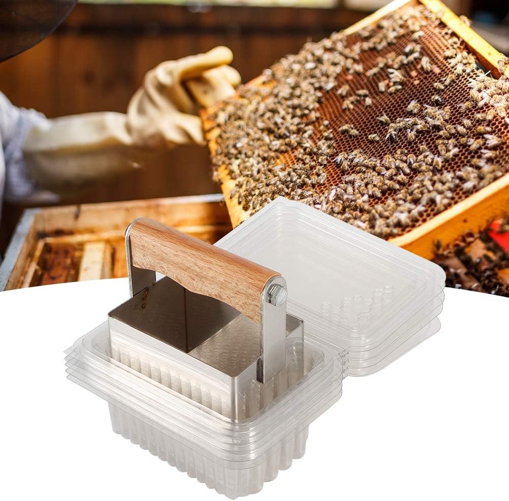 Fydun Less Steel Comb Honey Cutter Scraper with Plastic Case Cutting Tool Beeke Accessories for Men and Women