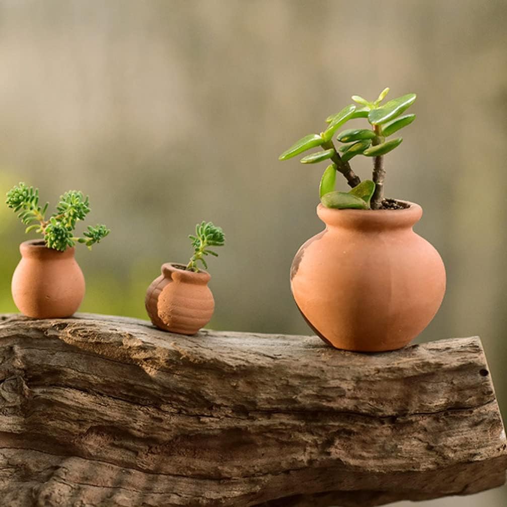 Yardwe 6 macetas de arcilla de terracota, mini macetas de flores para suculentas, cactus, vivero, macetas para bricolaje, hogar y oficina,