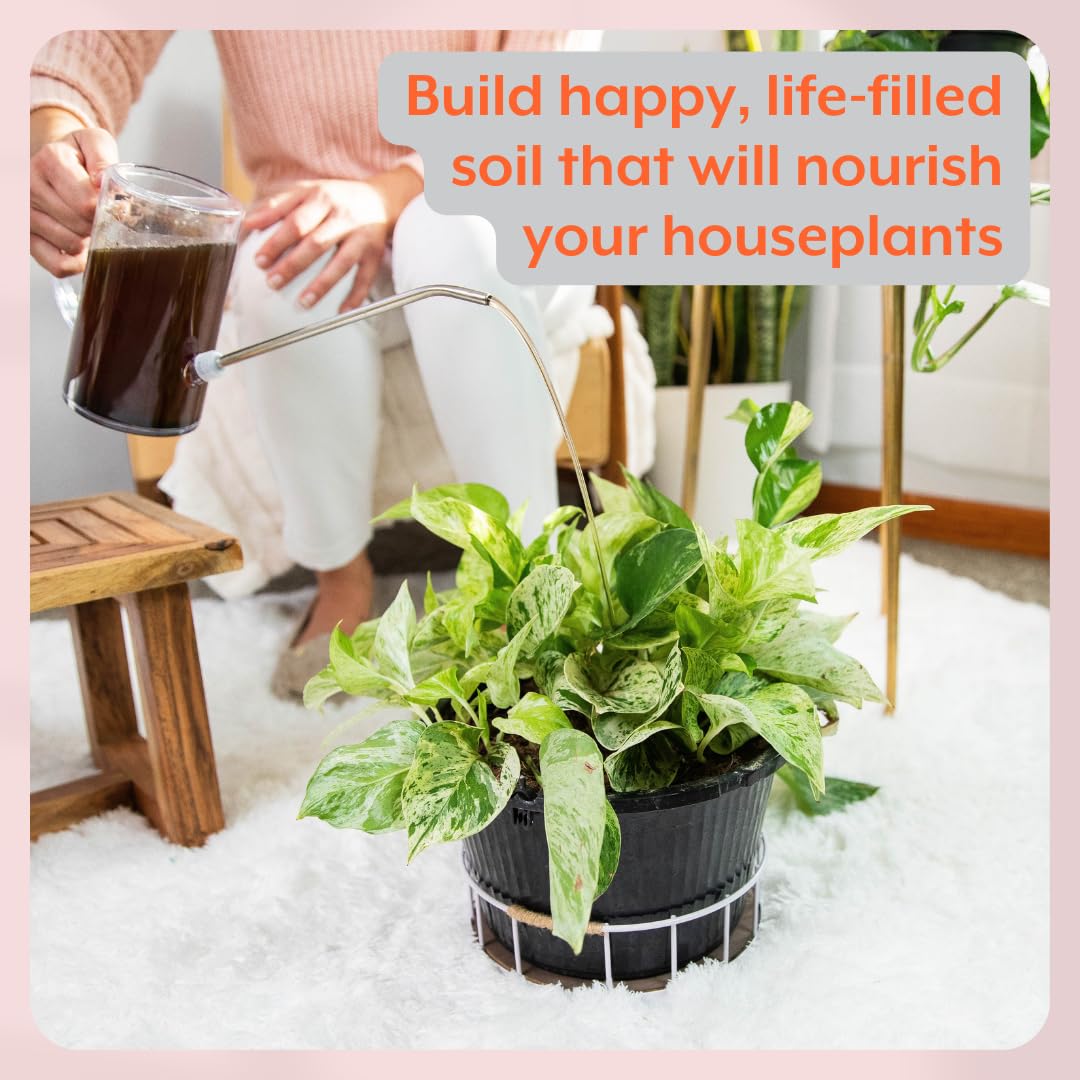 Soporte instantáneo para plantas (4 tabletas)  Probióticos de tabletas autodisolvibles para plantas de interior, sin olor, sin polvo, sin ensuciar,