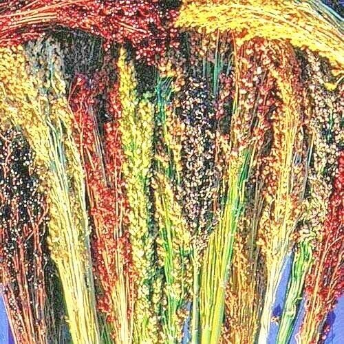 Escoba de semillas de maíz multicolor para manualidades, detalles para el hogar, dorado, rojo, bronce, morado, marrón, jocad (más de 100 semillas)