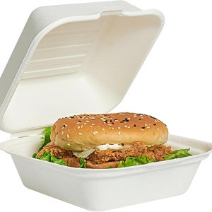 Amozife Recipientes de alimentos 100% compostables de 6 x 6 pulgadas, recipientes ecológicos de bagazo biodegradables resistentes para llevar Amozife Recipientes de alimentos 100% compostables de 6 x 6 pulgadas, recipientes ecológicos de bagazo biodegradables resistentes para llevar