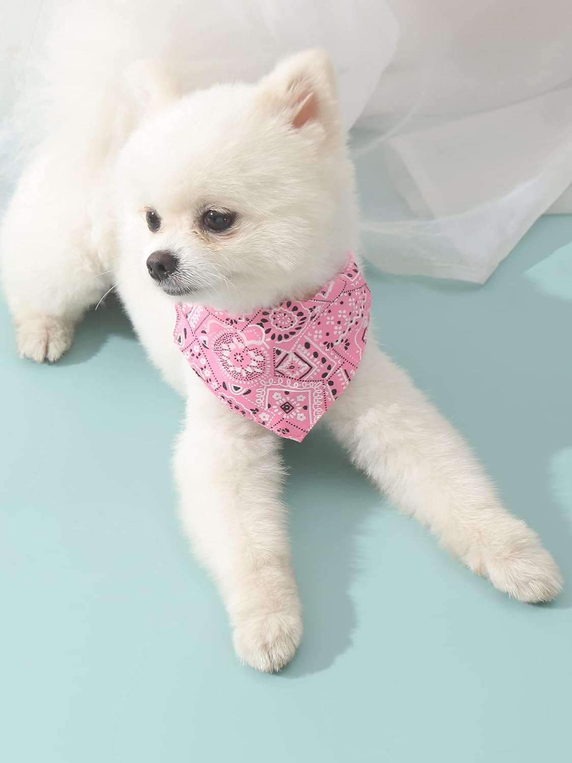 QWINEE 4 pañuelos tipo bandana para perro, bandana para gato, ajustable para cachorros, gatos, gatitos y perros pequeños, multicolor, grande