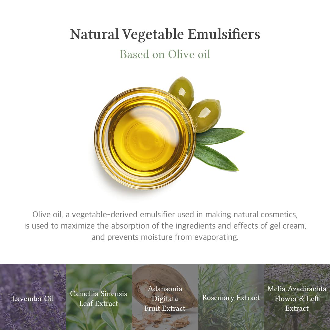 Dr.Althea Anastatica Skin Healing Vegan Gel Cream – 88% extracto de planta Anastatica Hierochuntica, vegano y libre de crueldad, hidratación