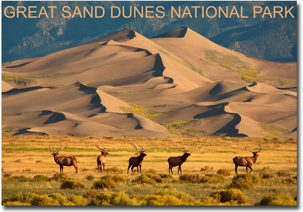 Imán para nevera de viaje Great Sand Dunes National Park and Deers tamaño 2.5″ x 3.5″
