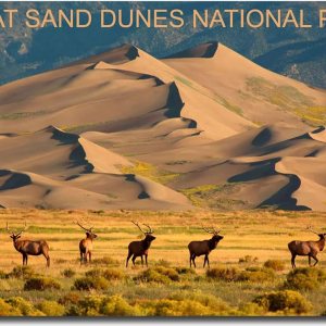 Imán para nevera de viaje Great Sand Dunes National Park and Deers tamaño 2.5″ x 3.5″ Imán para nevera de viaje Great Sand Dunes National Park and Deers tamaño 2.5″ x 3.5″