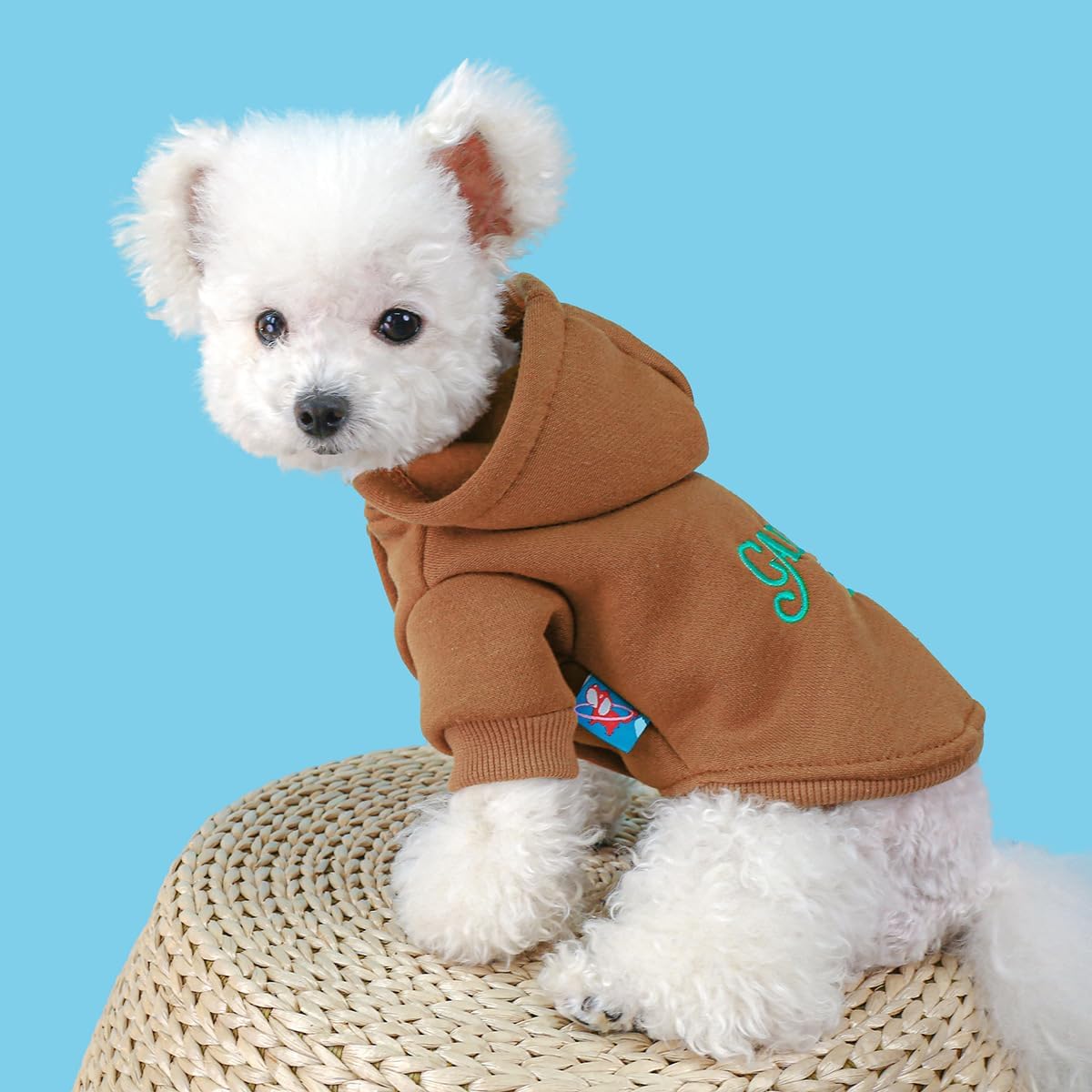 Ropa para perro con capucha para mascotas, abrigo de invierno para cachorros, sudaderas para perros pequeños, niño y niña, patrón de llamarme,