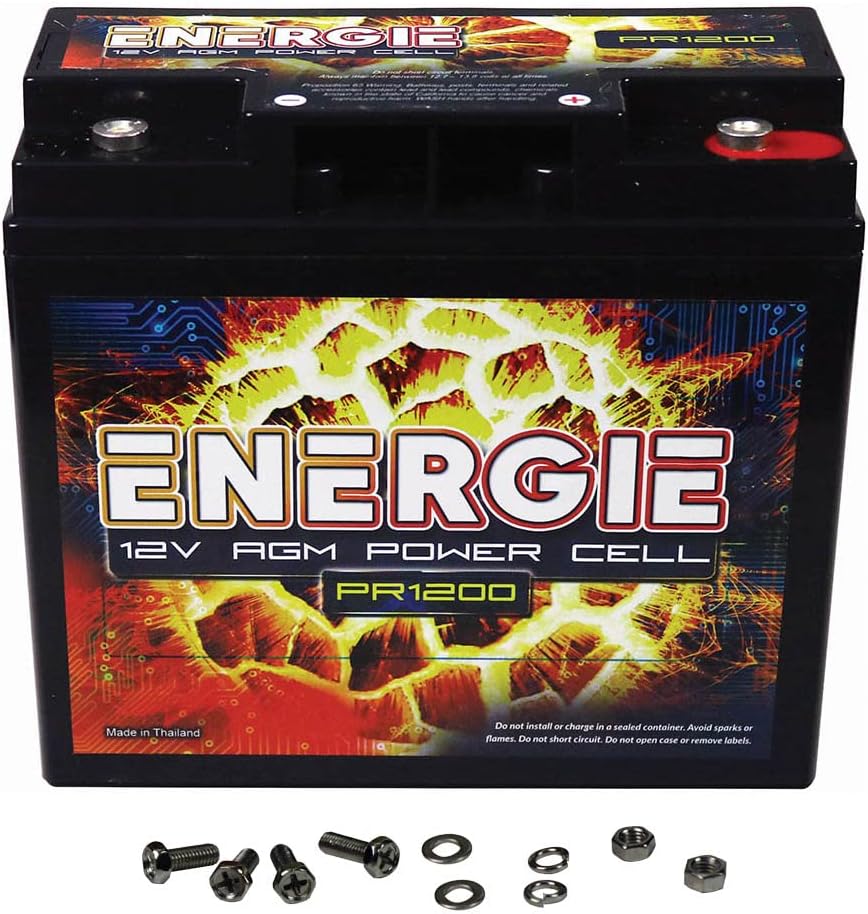 Reikken PR1200 Energie 1200 Watt 12 Volt Power Cell