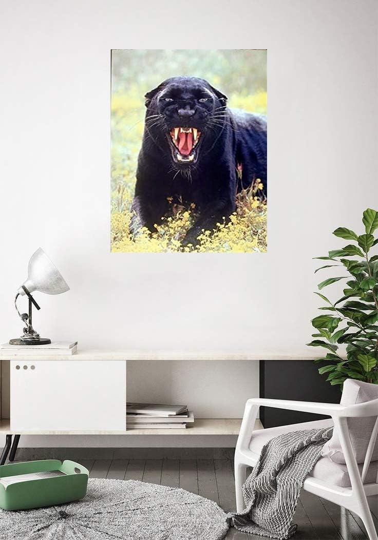 Póster artístico para decoración de pared, diseño de animales salvajes, pantera negra (leopardo) (16 x 20 pulgadas)