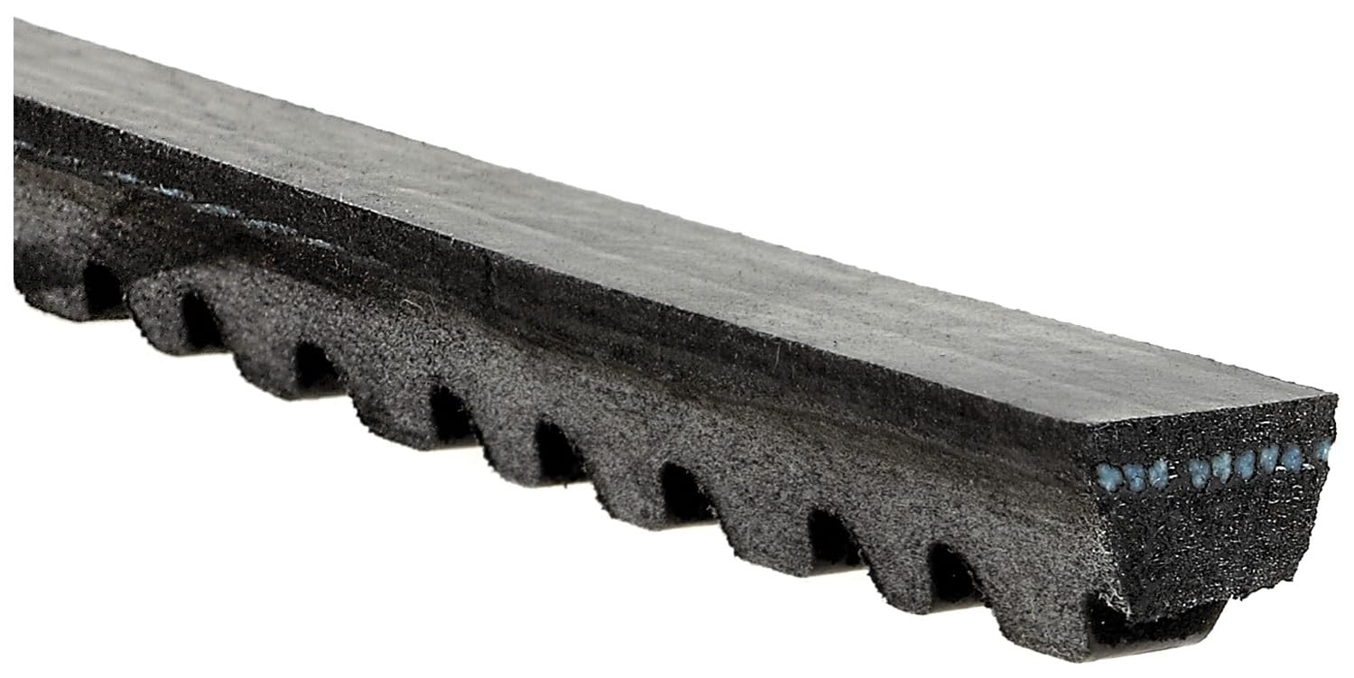 Aire acondicionado o ventilador y alternador accesorio correa de transmisión compatible con Nissan NP300 2.5L L4 Diesel 2009 2010 2011 PC-312025