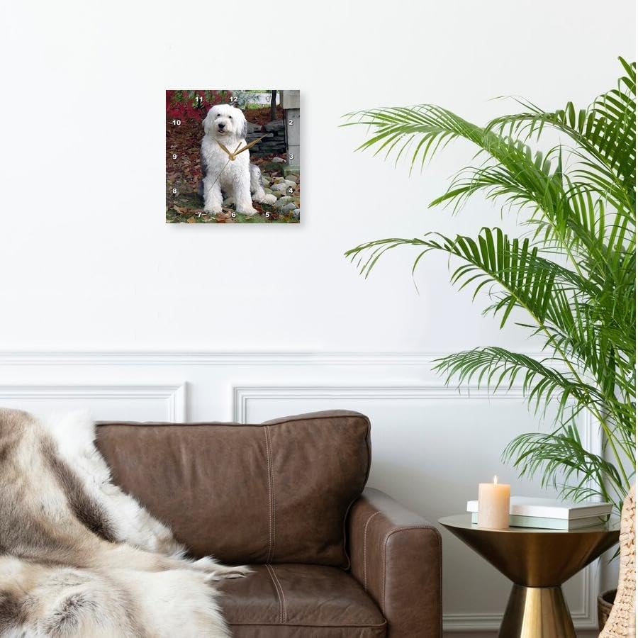 3dRose LLC Old English Sheepdog – Reloj de pared, 10 x 10 pulgadas