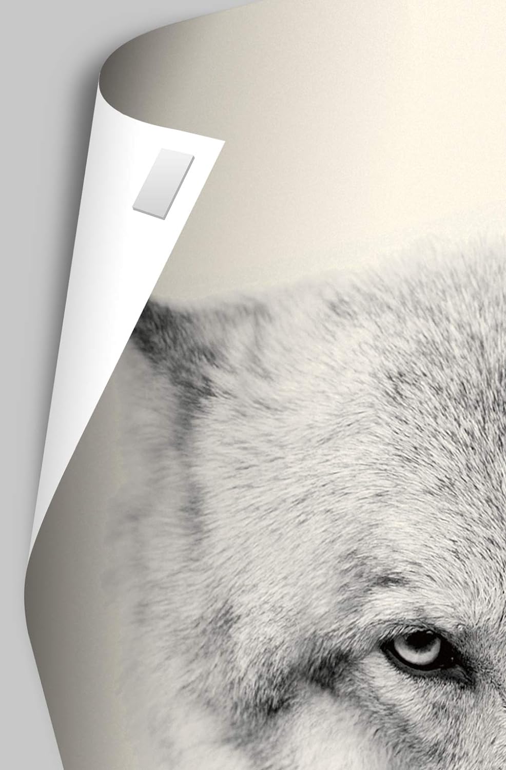 Trends International Pokémon – Póster de pared de Pikachu Peaceful Nature