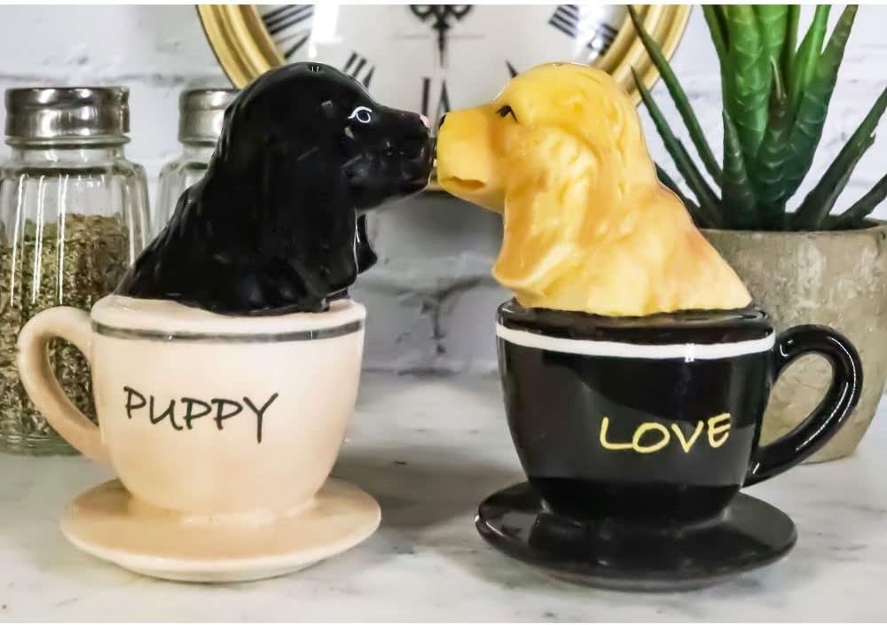 Cocker Spaniel Puppy Love – Juego de saleros magnéticos de cerámica