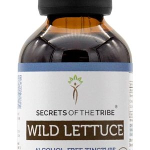 Secrets of the Tribe Lechuga silvestre orgánica USDA  Extracto sin alcohol, gotas de hierbas de alta potencia, digestivo  Hecho de lechuga silvestre Secrets of the Tribe Lechuga silvestre orgánica USDA  Extracto sin alcohol, gotas de hierbas de alta potencia, digestivo  Hecho de lechuga silvestre