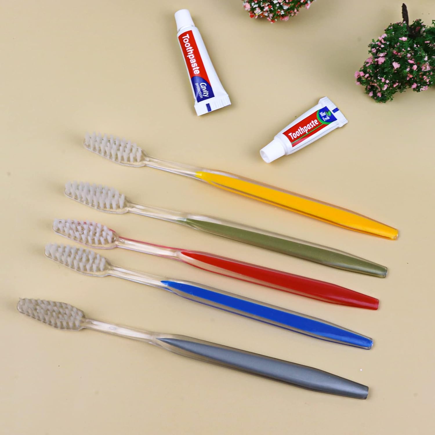 Cepillos de dientes desechables con pasta de dientes (5 colores) (500)
