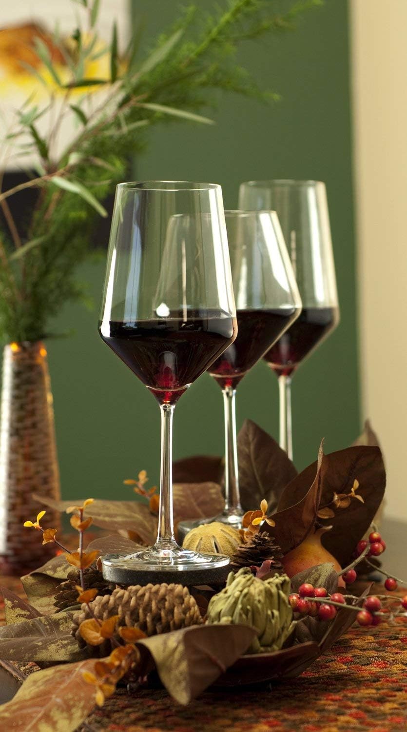 Juego de 2 copas de vino blanco de cristal de tallo largo, copas transparentes de 14 onzas sin plomo para cata de vino, fiestas o regalo único de