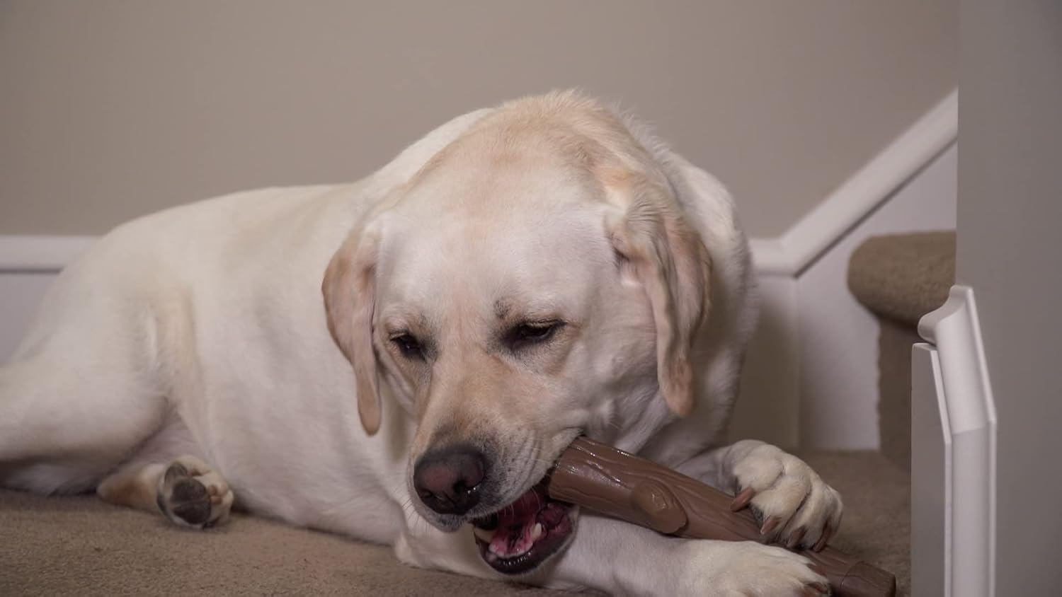 Hero Bonetics Stick – Juguete masticable para perros con aroma a madera, suave para los dientes y el abdomen