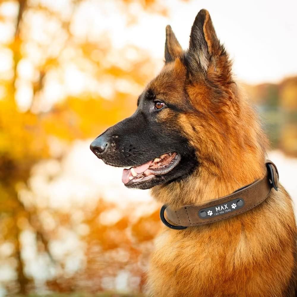 Didog Collar de perro de cuero personalizado, collares de perro grabados con placa de identificación personalizada, collar personalizado acolchado