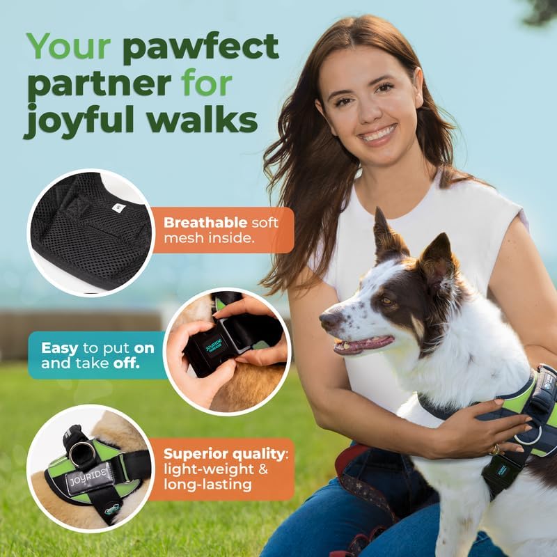 Joyride Harness Arnés para mascotas sin tirones con etiqueta de nombre personalizable, logotipo que brilla en la oscuridad, 3 anillos laterales para