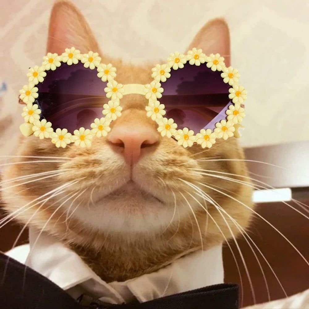 Diadema para perro, linda diadema de gato, lentes de sol de flores para mascotas con lazo para la cabeza, accesorios para el pelo de mascotas (azul)