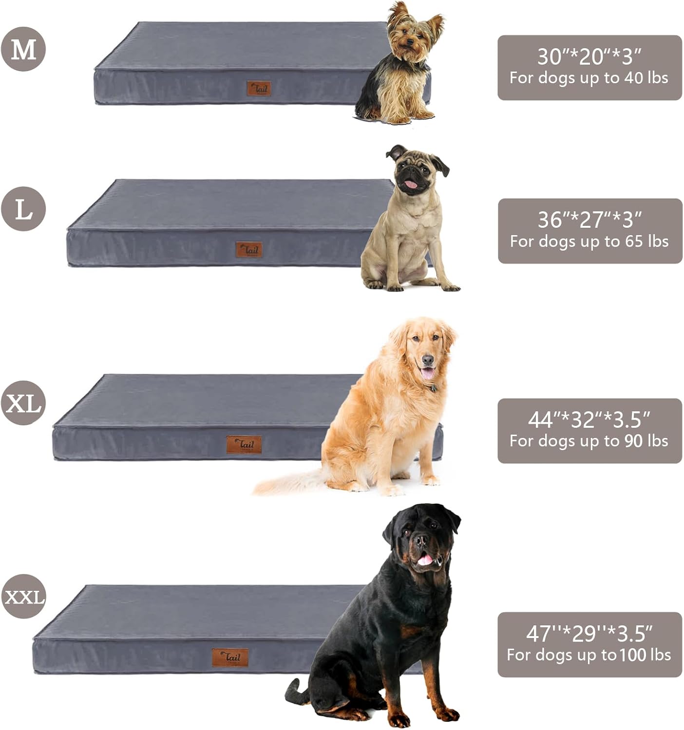 Tail Stories Cama para perros para todo tipo de clima, cama impermeable para perros grandes, cama ortopédica de espuma de huevo para mascotas con