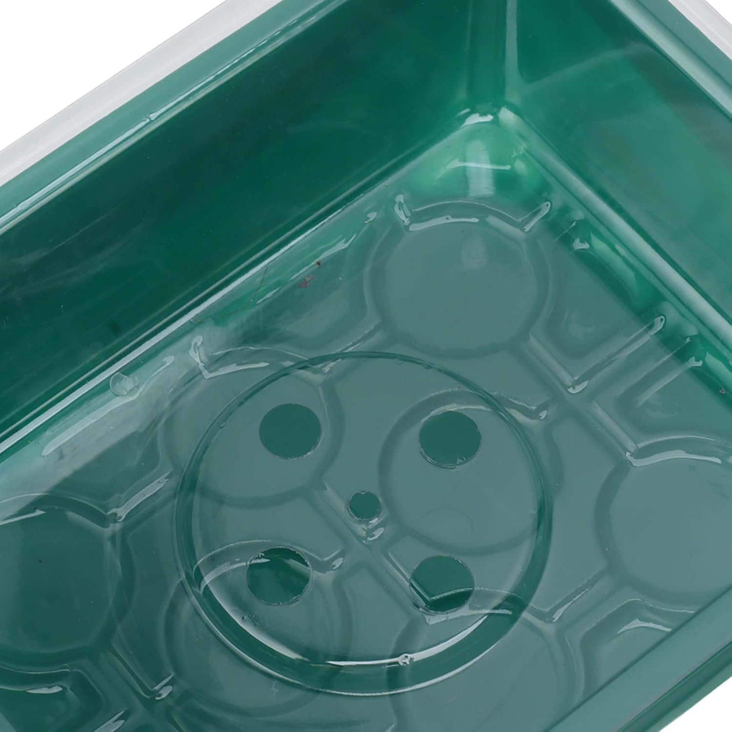 TOPINCN Seed Starter Tray, Garden Seedling Tray Transparent Cover Botton Drain Hole for Horticulture (12 Holes)